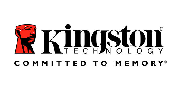 Datenrettung Kingston
